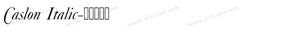 Caslon Italic字体转换